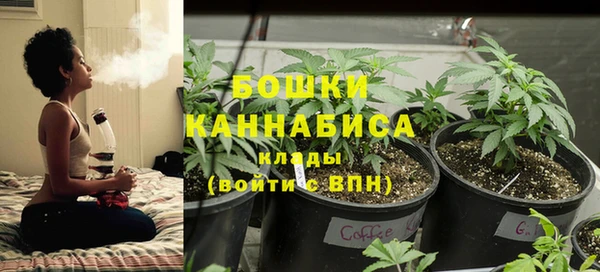 круглые Бородино