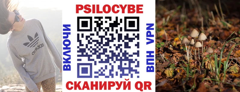 Галлюциногенные грибы Magic Shrooms  Купить закладки  Бикин 